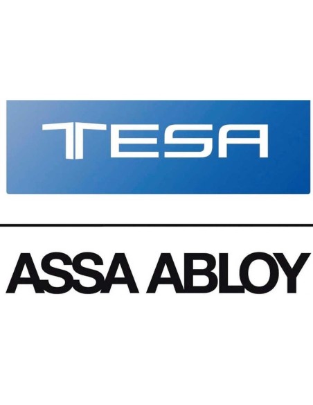 Tesa